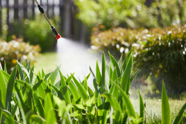 24/7 Emergency Mosquito Control experts in Bayside, WI