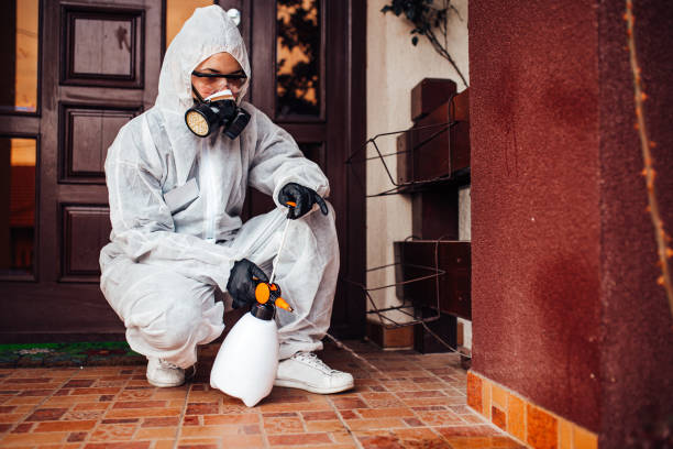 Reliable Mosquito Control contractor in Bayside, WI by Show Me Pest Control