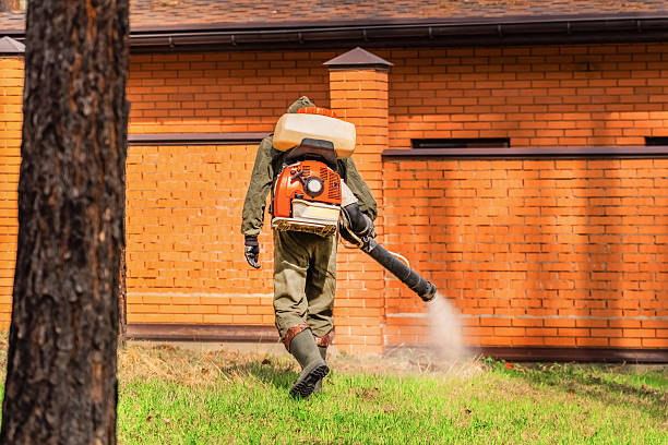 Top rated local Mosquito Control specialists in Bayside, WI